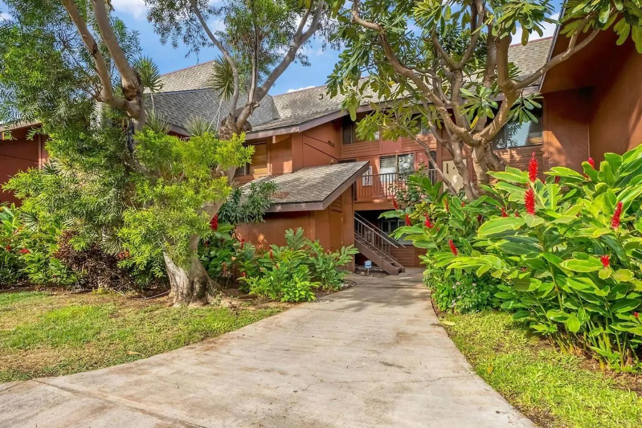 Steps To The Beach 3 Bedroom Kihei Stati Uniti